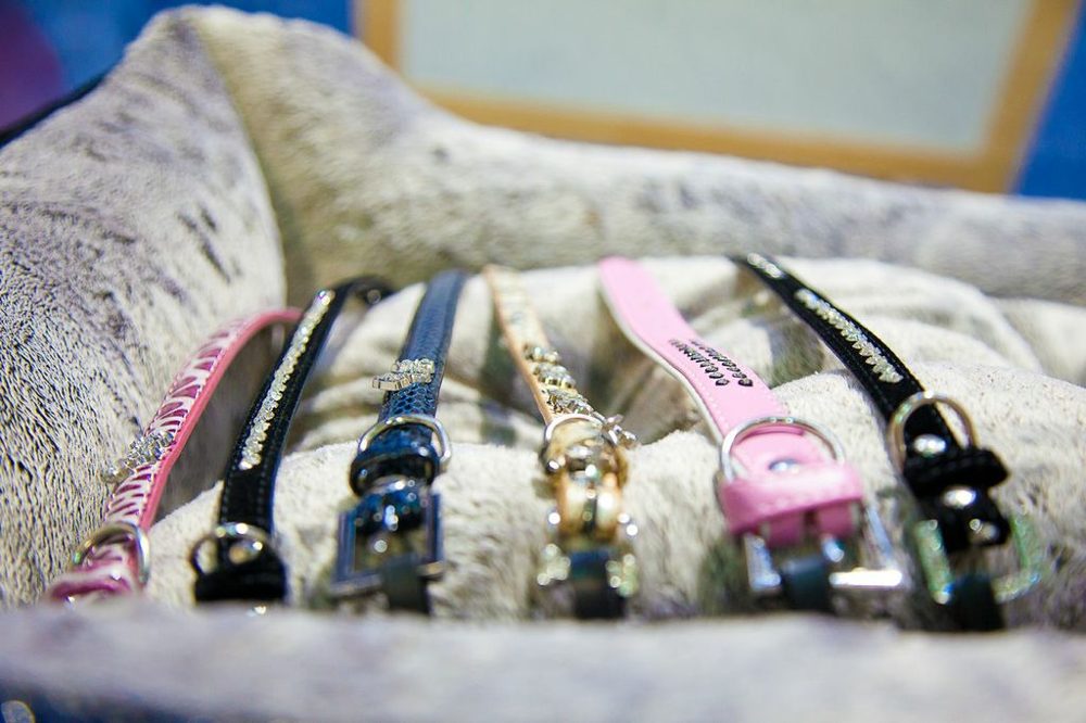 Collares sobre una cama acolchada
